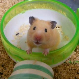 有難うございました!!(^v^*)