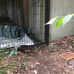  2015/08/31 保護記録