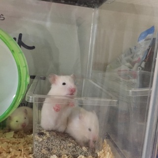 赤ちゃん産まれました！！