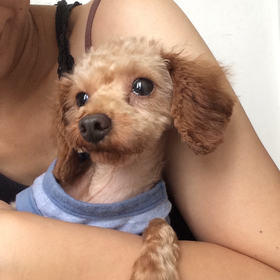 天丸のカバー写真