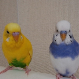 たくさんの応募 本当にありがとうございました