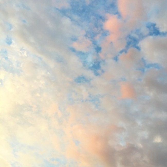 yuki'のカバー写真