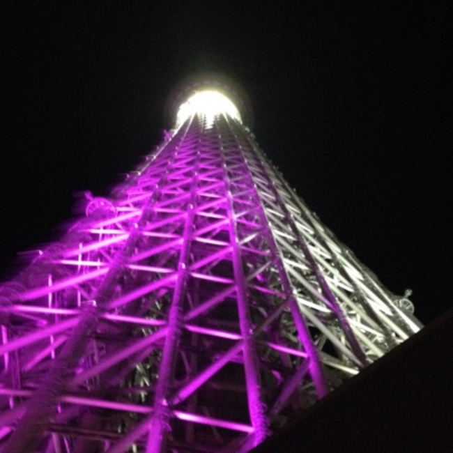 カラスが真っ白のカバー写真