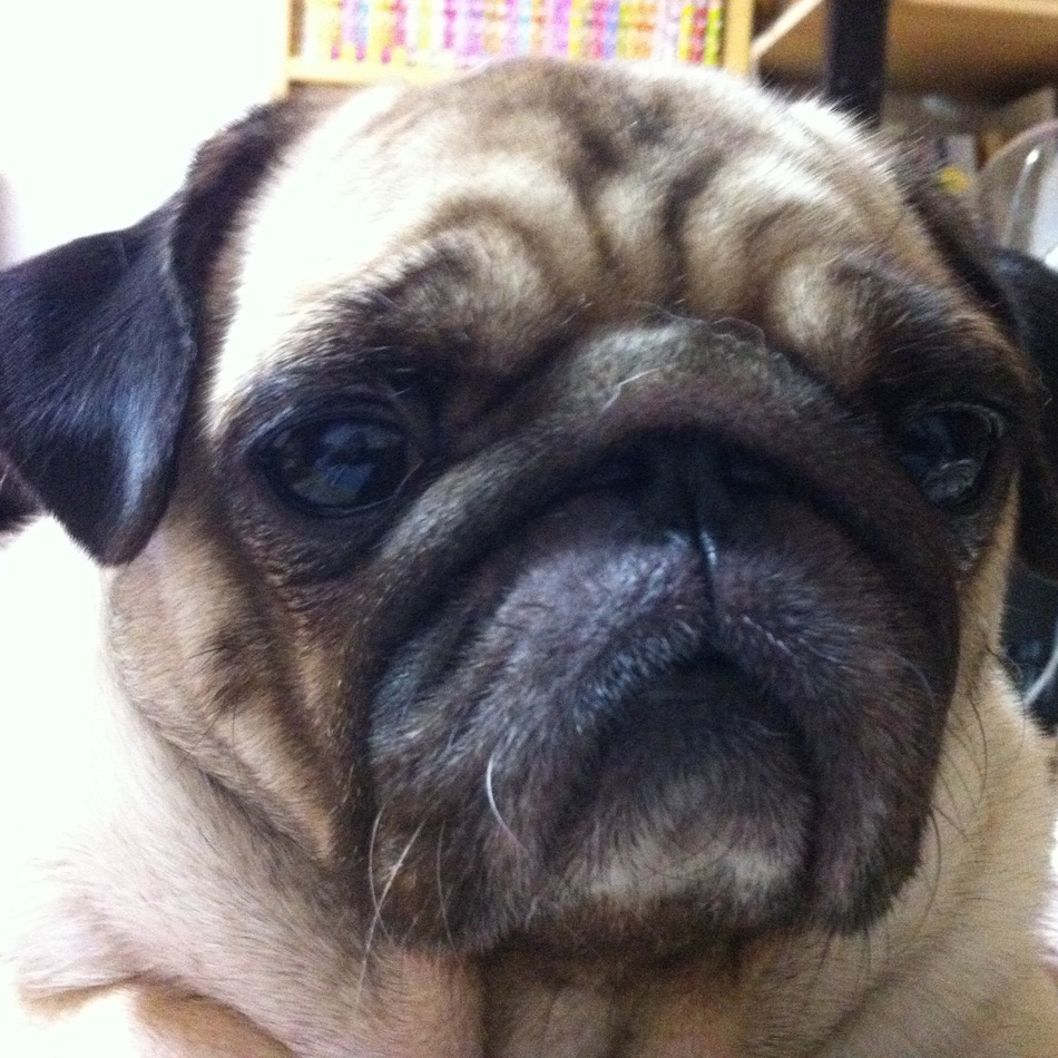 おみつのカバー写真