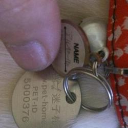 「PET-IDタグ到着」サムネイル2