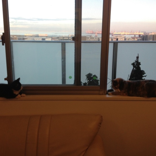 マロンとショコラのカバー写真