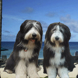 ボクは　今のボクが　ボク