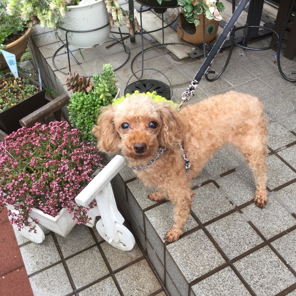 Meiのカバー写真