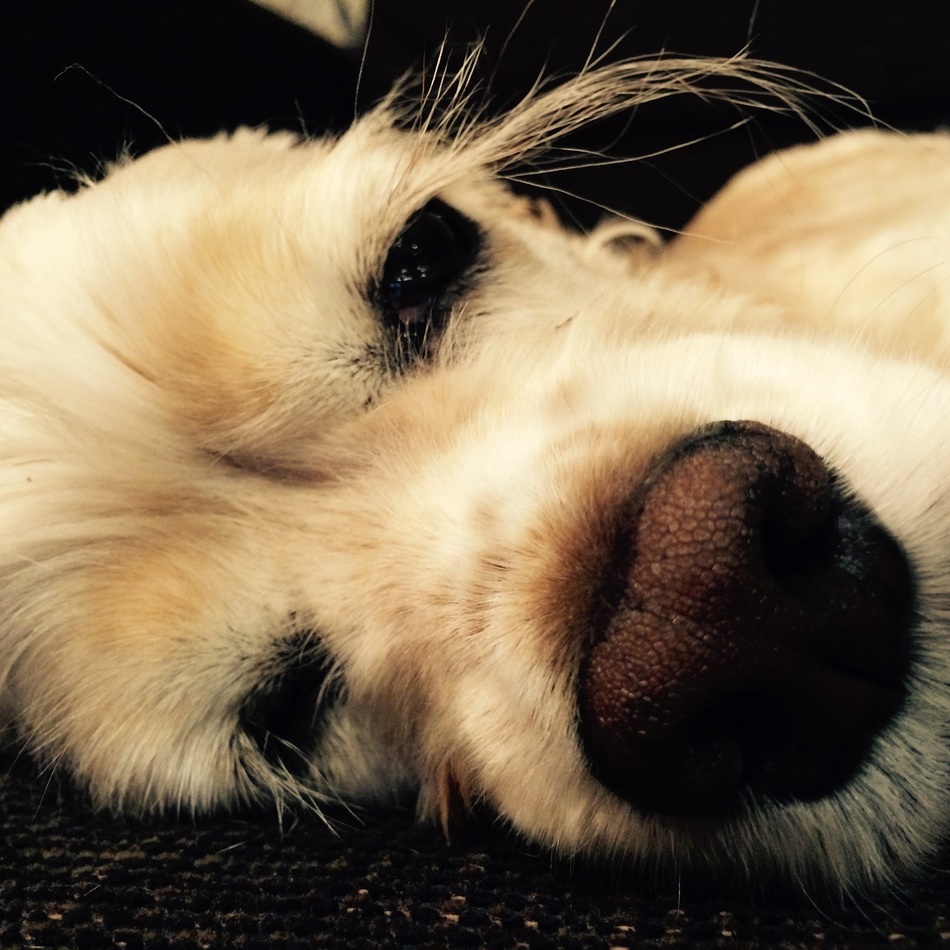 なみのカバー写真