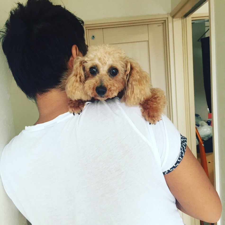 今井温子のカバー写真