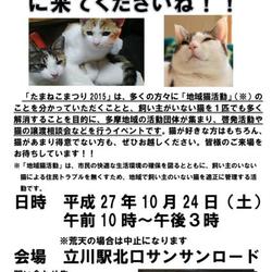 たまねこまつり2015