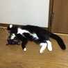 なんちゅー格好、、、