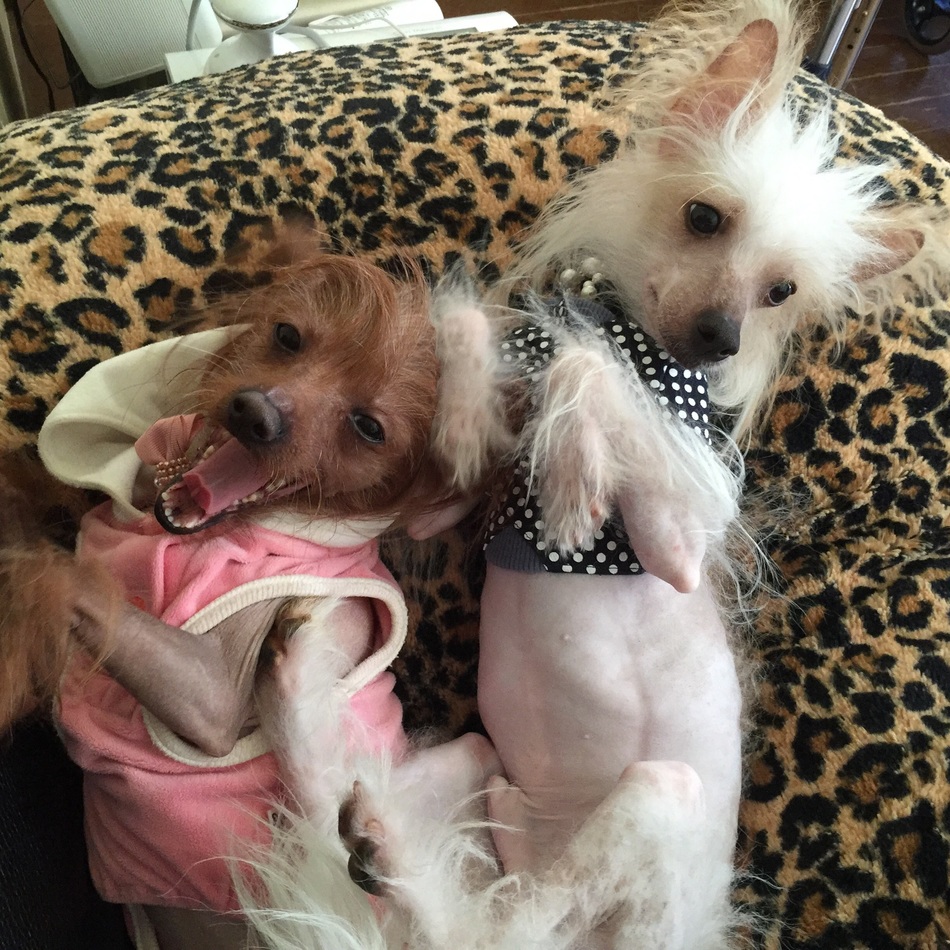 アシュリーのカバー写真