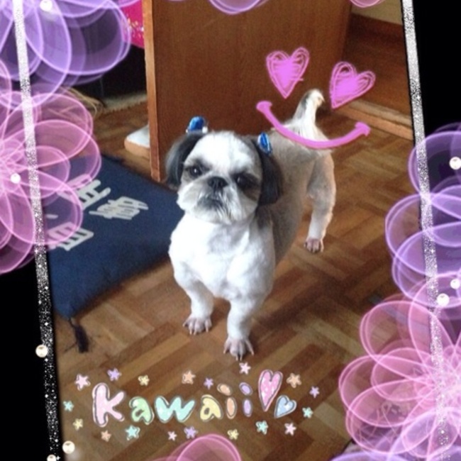 いえやすのカバー写真