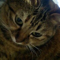 ヒメちゃん