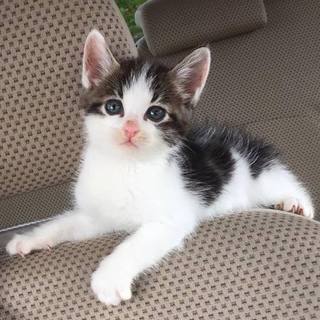 ☆きれいな顔立ち　ルカくん　男の子☆