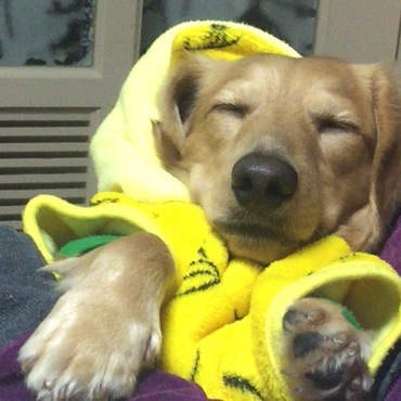 気持ちいいね～