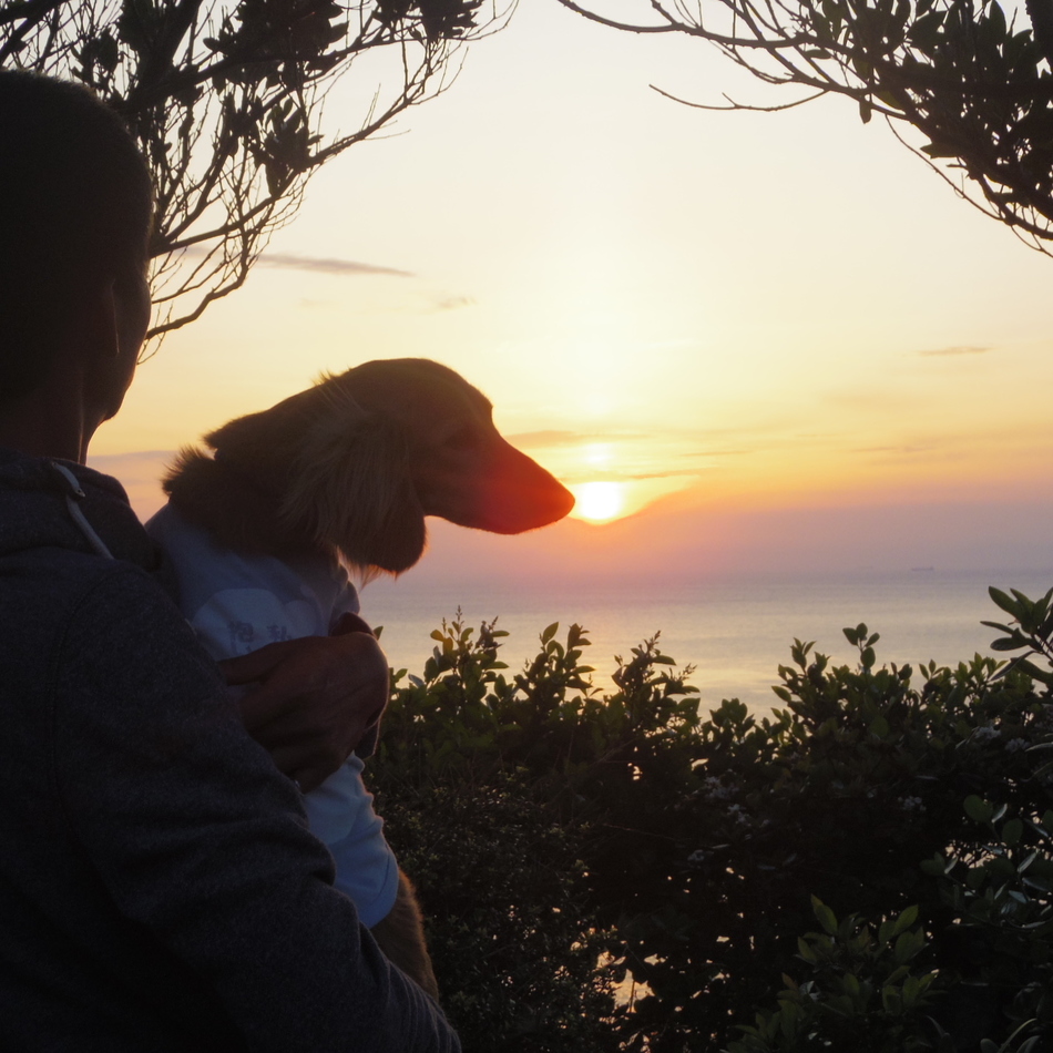 レオのカバー写真