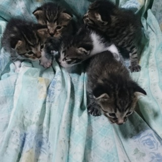 ありがとうございました(^-^)