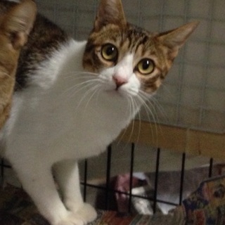 行き場を失った“ちろ君”10ヶ月