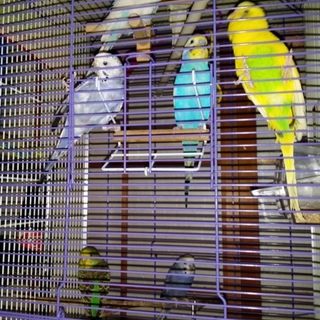 素敵な方に巡り会えました！