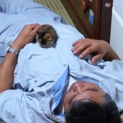 「みんなの癒し」サムネイル3