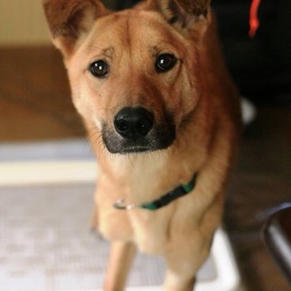 外見はかっこいいのに心優しい こうせいくん