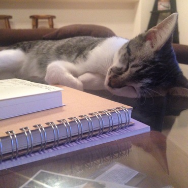 ぐっすり眠っています、。