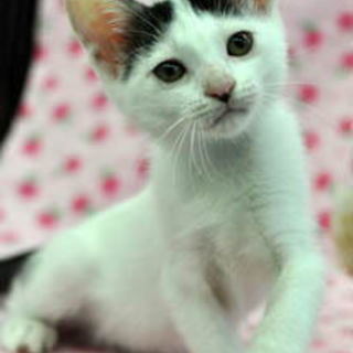 大当たり～のあたりちゃんです！