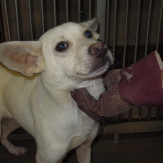 最初は固まっていたけど少しずつ心を開いてきてます。