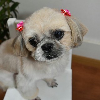 幸せ切符掴みました～(*^.^*)