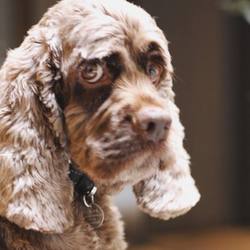 ジェシー編集長ご愛用のかっこいいチャーム♪