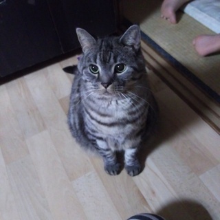 丸々脚長マンチのリキ君★