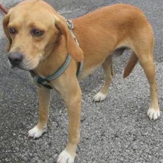 レスキューしました。