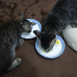 おやつの時間♪