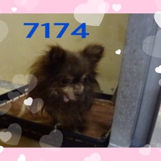 助けて下さい！