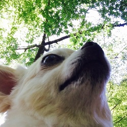 自然が好きだー