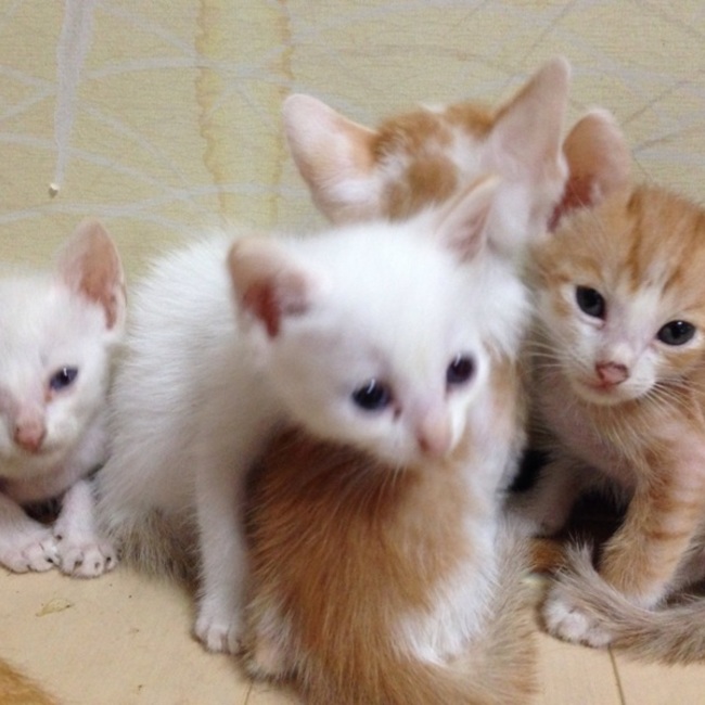 kenta7のカバー写真