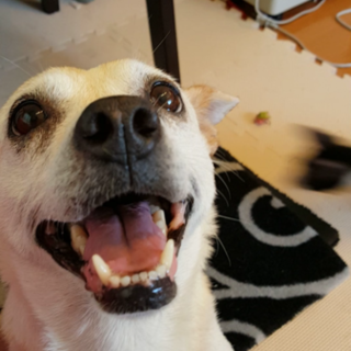 おっとりマイペース性格◎な女の子