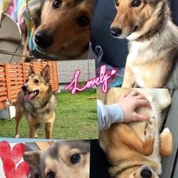 「出会い」サムネイル2