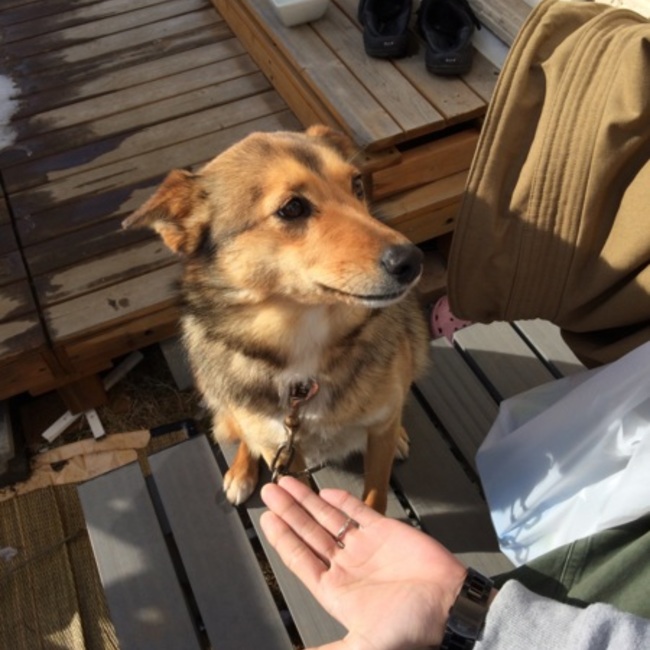 yuka☆のカバー写真