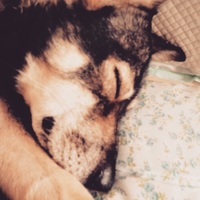 ひがきくれおー