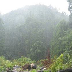 シェルターは大丈夫です