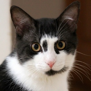 一度見たら・・忘れられない個性派ボーイ・ ポノ