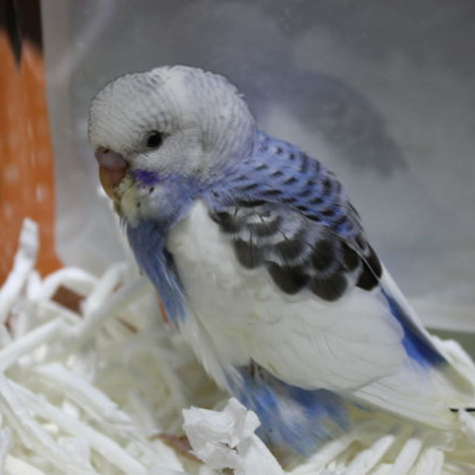 そらのカバー写真