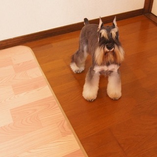 可愛い女の子！