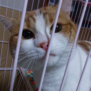 ありがとうございました。