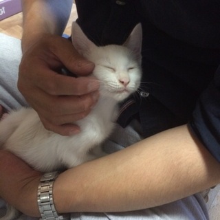 七夕生まれ☆マイペースな女の子☆