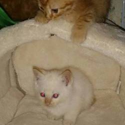 「大きくなりました」サムネイル2