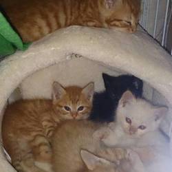 「大きくなりました」サムネイル3